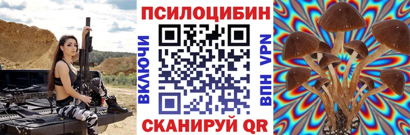 Псилоцибиновые грибы прущие грибы  Красный Холм 